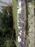 image of grave number 64658